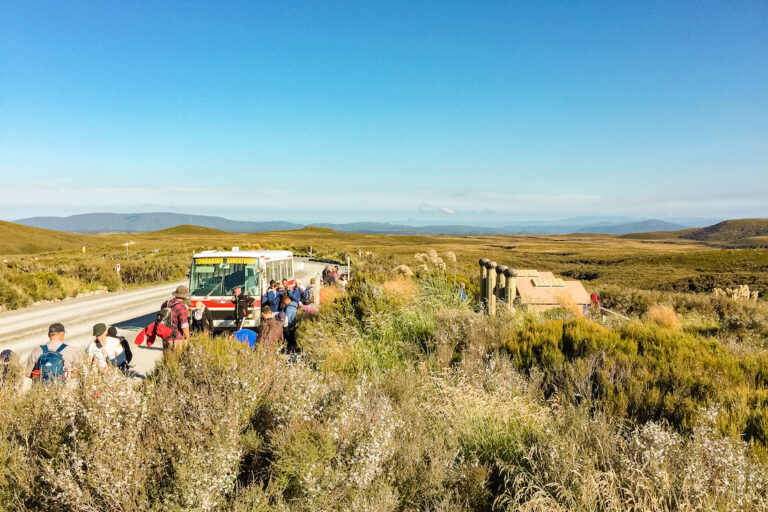 The 7 Best Tongariro Crossing Shuttles to Make Your Day Trip A Breeze (Recommended by a Local).