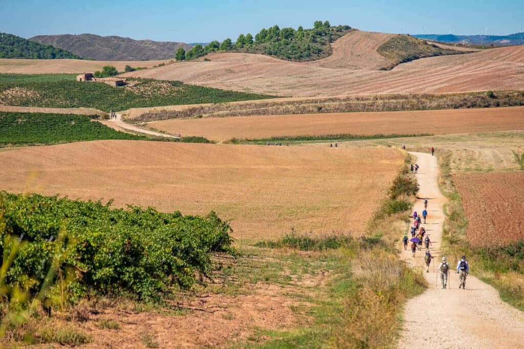 Hikers walk through fields on the Camino Frances.