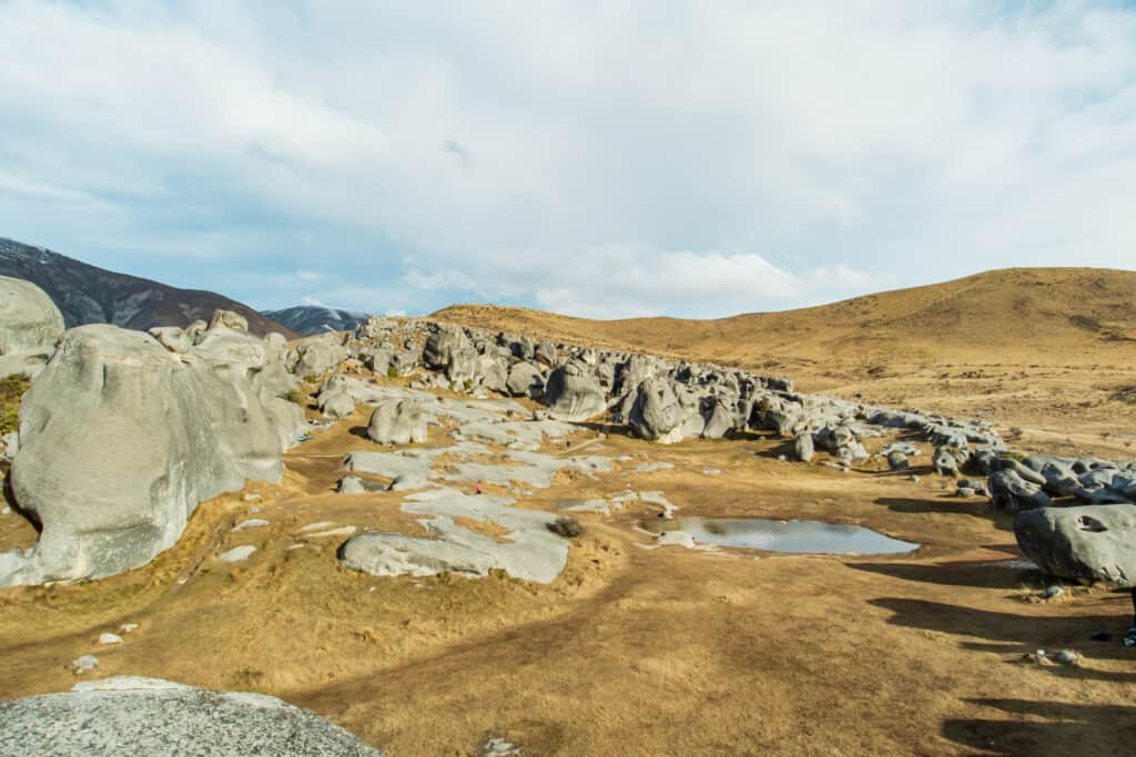 limestone boulders litter the landscape at kura tawhiti