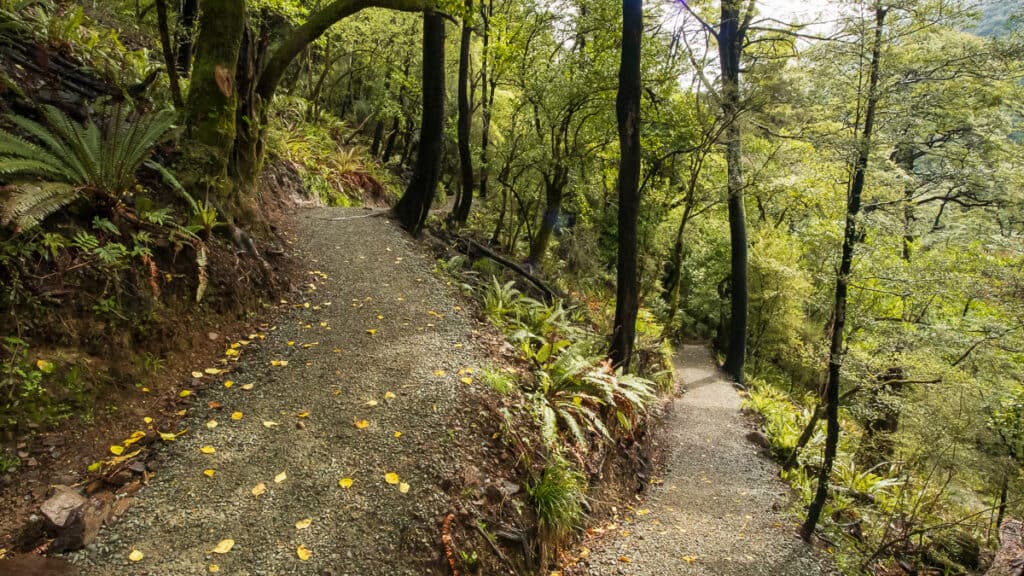 sharplin falls track zig zag