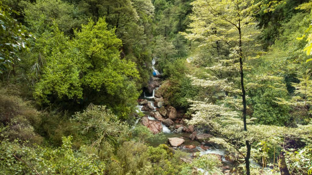 Sharplin Falls Track Guide – What Canterbury’s Newest Day Hike is Really Like.